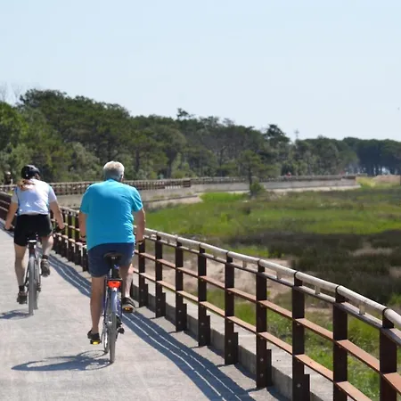 Elios, Aquarius, Raffaella *